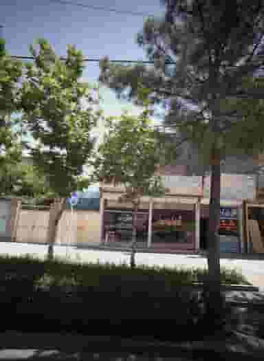 آریا زمین در شاهد مشهد