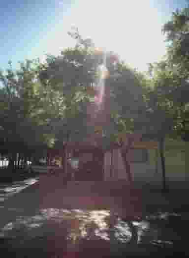 املاک آسمان در هدایت مشهد