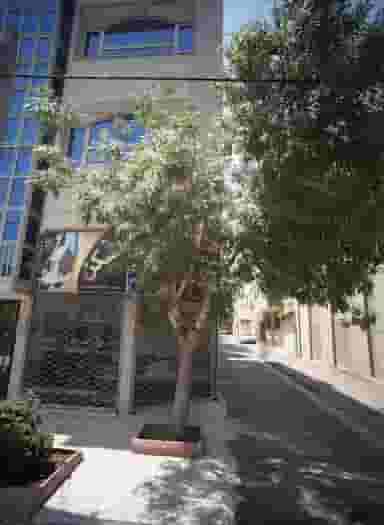 املاک مسکن در سرافرازان مشهد