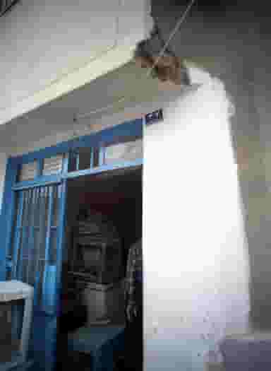 تعمیرگاه لوازم خانگی در پورسینا مشهد