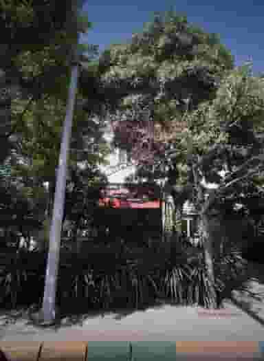 املاک هانی در فاطمیه مشهد