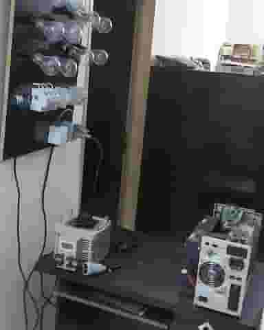 سیم چین | seemchin در درختی کرج