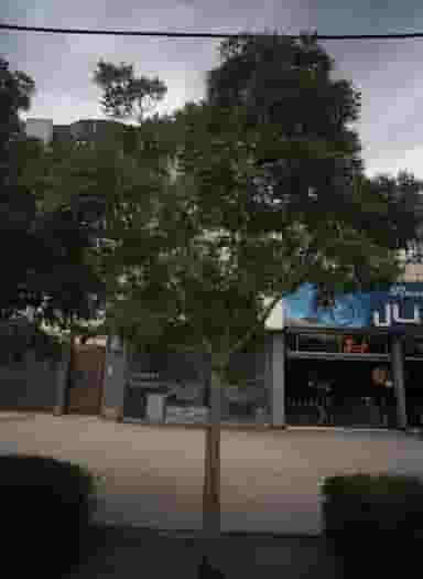 مشاور املاک در هفت تیر مشهد