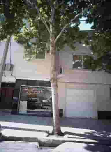 املاک مسکن در فرامرز عباسی مشهد