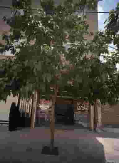 املاک میعاد در رسالت مشهد