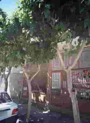 املاک رحیمی در طبرسی شمالی مشهد