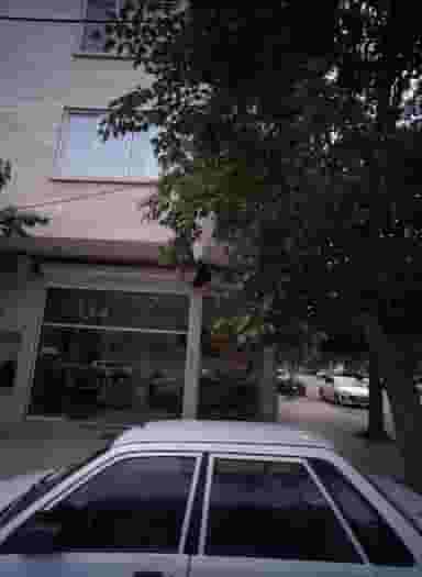 بانک اطلاعات مسکن تلاش در جانباز مشهد