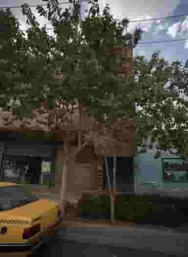 قابسازی در شیرودی مشهد