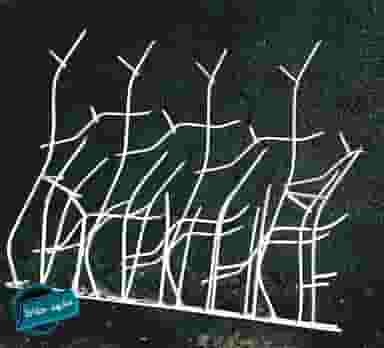 تولیدی مشهد حفاظ در زرکش مشهد