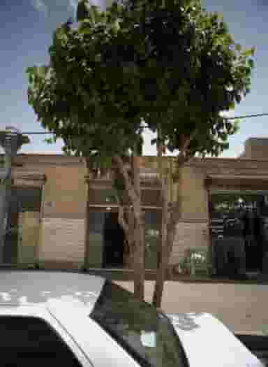 شیشه و آیئنه برادران غفابی در زهتابی تهران