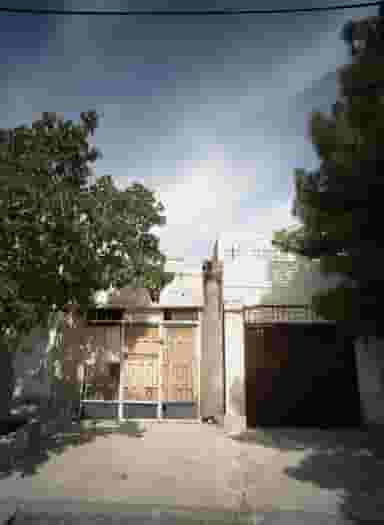 چوب سیب در چهارچشمه مشهد