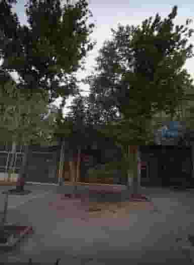 تولید مصنوعات چوبی در هنرور مشهد