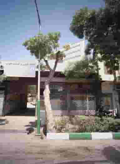تخته کوبی و صنعت چوب زیتون در دانش مشهد