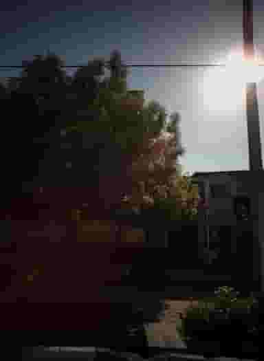 کارگاه خوشخو در امیر مشهد