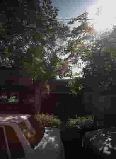 کارگاه چوب بری در شهید بهشتی مشهد