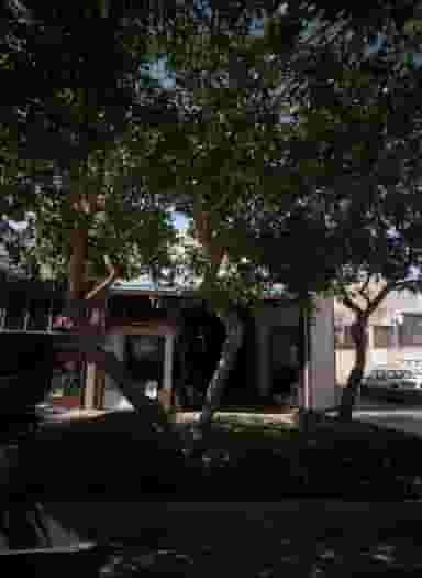 کارگاه چوب بری در عامل مشهد