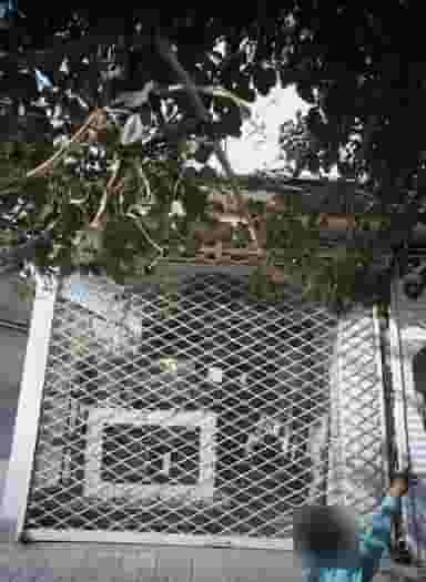 نجاری در کشاورز مشهد