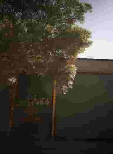 کارگاه فنی حسین شاندیزی در مقدم مشهد