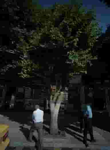 تولیدی لباس در آیت الله خامنه ای مشهد