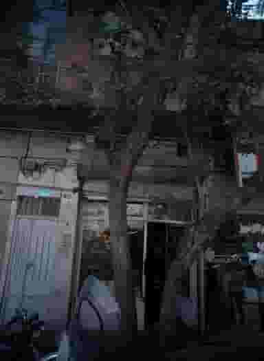 سیم پیچی محمدی در گمرک تهران