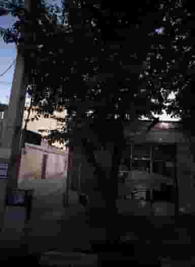 آئینه و شیشه در گمرک تهران