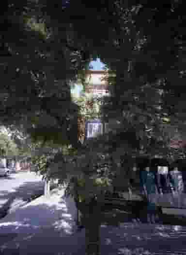 فروشگاه پوشاک در کارگران مشهد