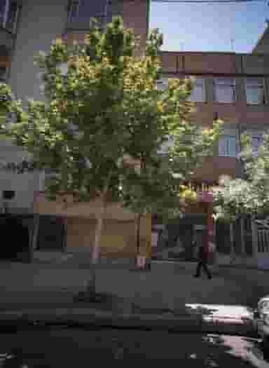 مبل نارون در هنرور مشهد