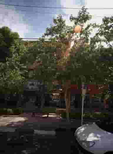 فروشگاه پوشاک کاردان در رضاشهر مشهد