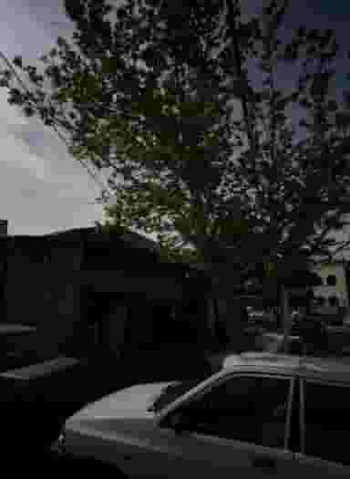 ضایعاتی در خاک سفید تهران