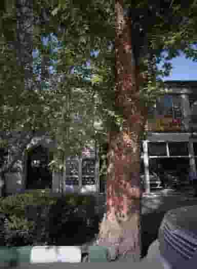 تولیدی لباس مشهد کلاه در امام خمینی مشهد