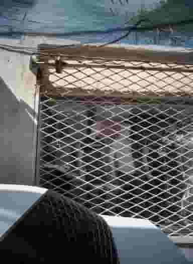 فروشگاه پوشاک مردانه در شهید معقول مشهد