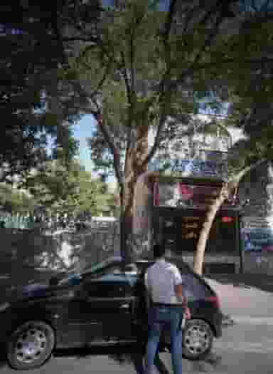 ام دی اف شاهین در شفا مشهد