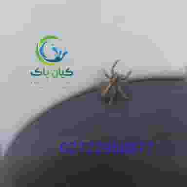 سمپاشی کیان پاک شعبه غرب در تهرانسر غربی تهران