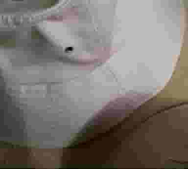 کلاه دوزی پارسیان در سلسبیل شمالی تهران