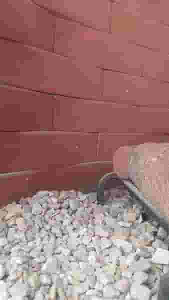 مصالح ساختمانی عراقی در سرافرازان مشهد