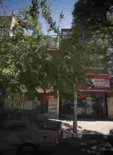 داروخانه گیاهان دارویی حداد در گوهرشاد مشهد