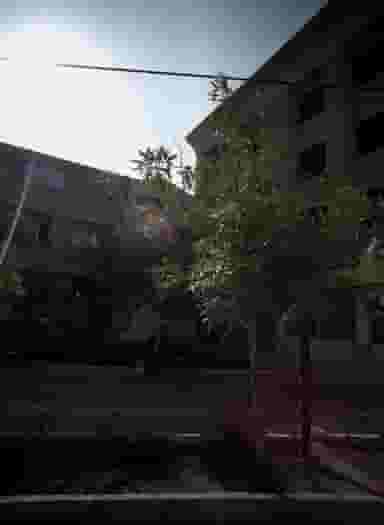 داروخانه دامپزشکی دامنوش در رضاییه مشهد