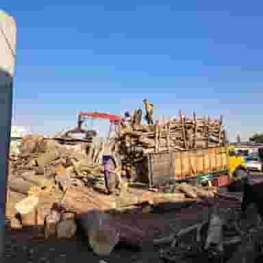 با چوب(چوب بری شفیعی ) در شهید کاظمی تهران