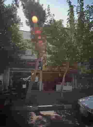 فروشگاه لوازم ورزشی اسپرت جوانان در دیلمان تهران