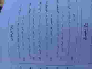 فست فود توژی برگر در آرژانتین تهران