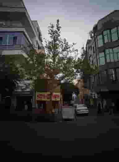 ساندویچی هفت چنار در دانشگاه تهران تهران