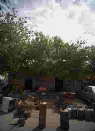 ساندویچ فروشی در شهید کاظمی تهران