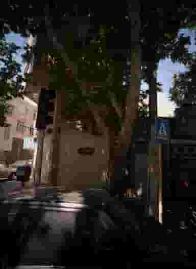 فلافل طلایی در سرآسیاب مهرآباد تهران