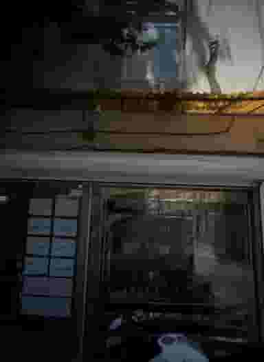 فروشگاه فرآورده های فست فود در فلاح تهران