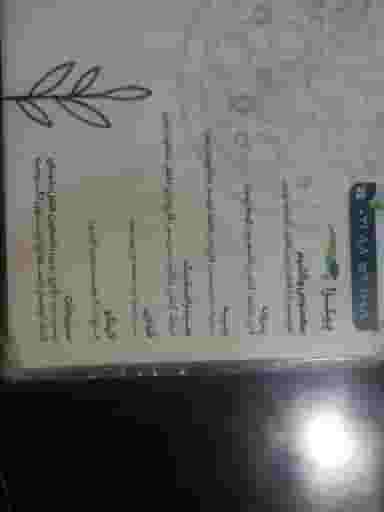 رستوران وگان وگشیم در دریا تهران