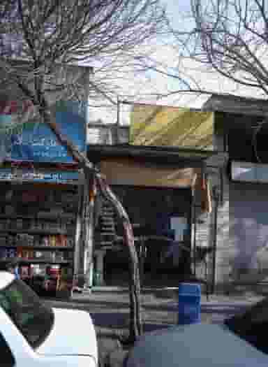 ساندویچی شقایق در چیتگر شمالی تهران