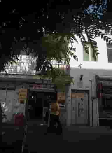 فلافل سید در شهادت تهران