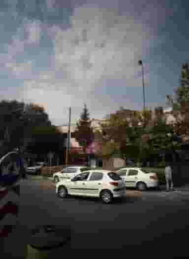 مرغ بریانی گل یاس در کوثر تهران