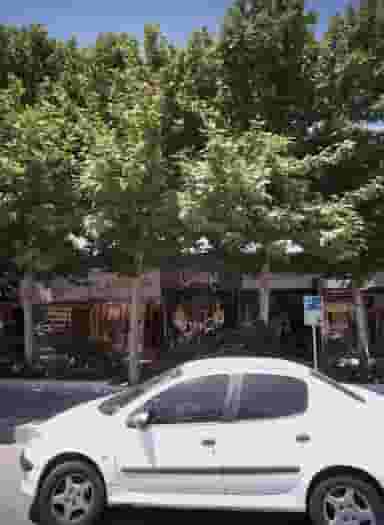 فروشگاه لباس مردانه فرکانس در آزادشهر مشهد