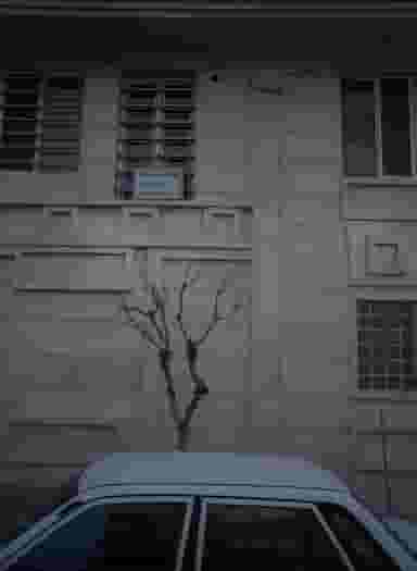 کلینیک طب فیزیکی و توانبخشی پیشگام در پاتریس لومومبا